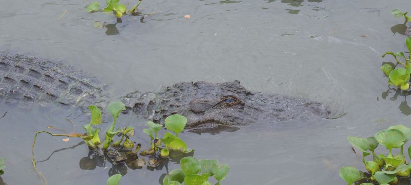 Keep your hands and feet inside the&nbsp;kayak.