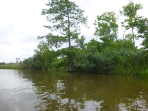 Sabine river