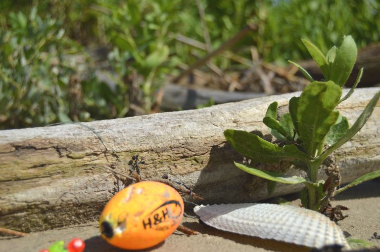 Sea Rim State Park fishing