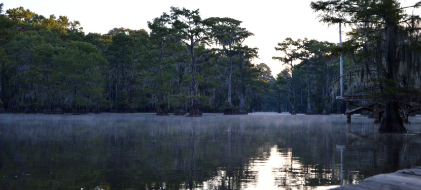 Caddo Lake: Take a&nbsp;moment