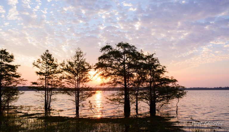 sunrise Sam Rayburn