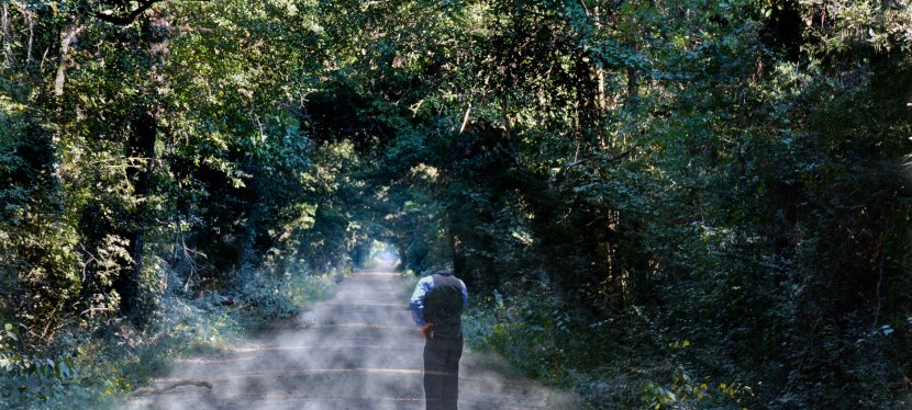 A Haunted History:  Saratoga Lights, The Kissing Statue, and The French&nbsp;House,