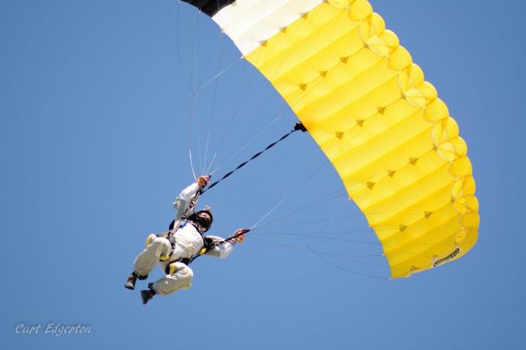 canopy 1