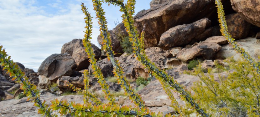 Hueco Tanks:”Primitive People”