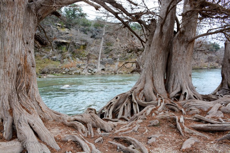 Guadalupe river state park (11)