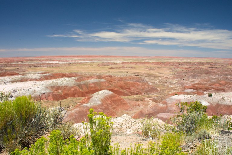 painted desert national park