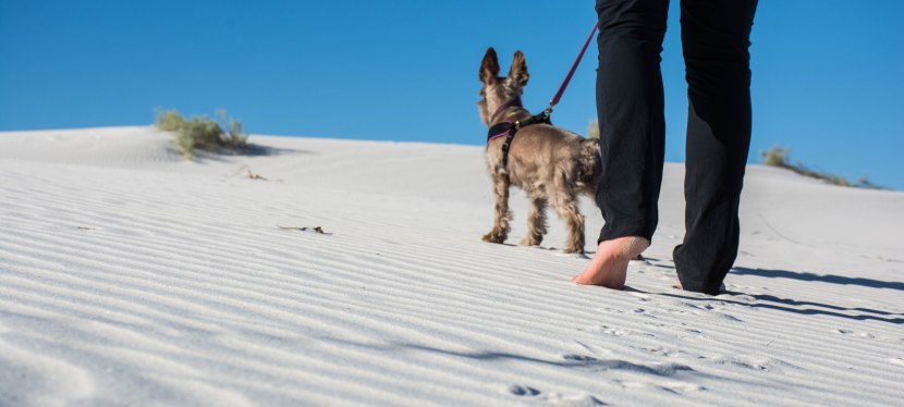 Castles Made of Sand