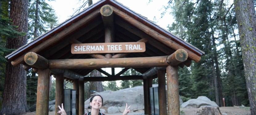 Sequoia National Park: Chasing&nbsp;Giants