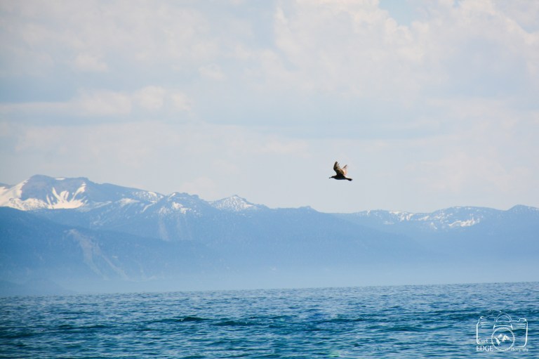 lake tahoe (2)